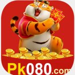 PK080 Game