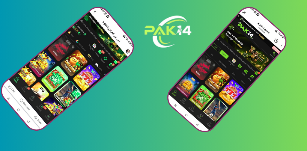 Pak14 Game